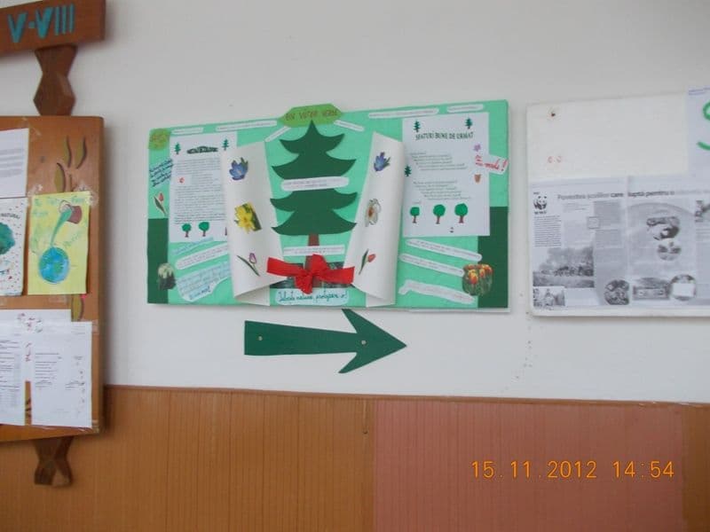 Ne mişcăm în direcţia bună (15)