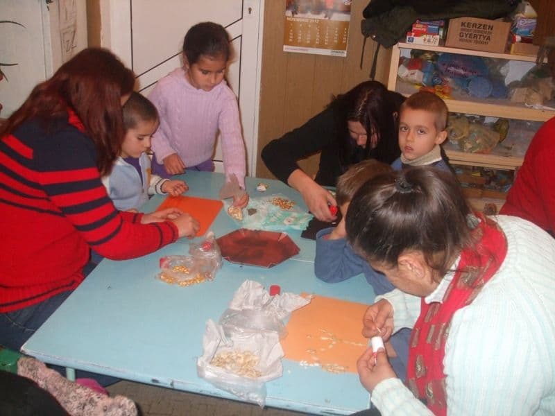 Gradinita Broscauti (2)
