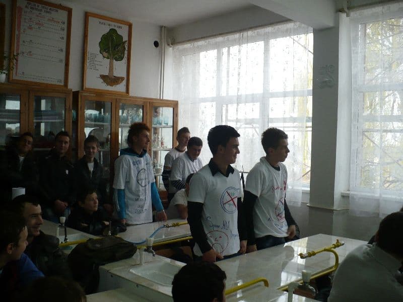 Liceul Regina Maria (7)