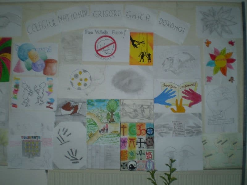 Educatia combate violenta (10)