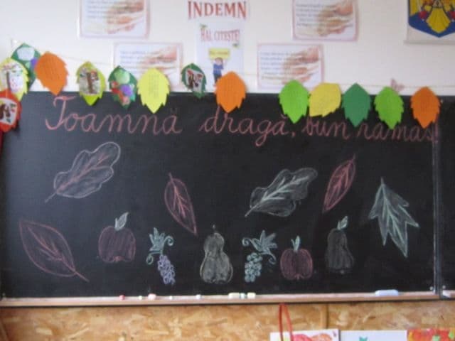 Scoala Oroftiana (8)