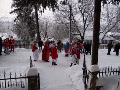 ltavs_colindatori_08