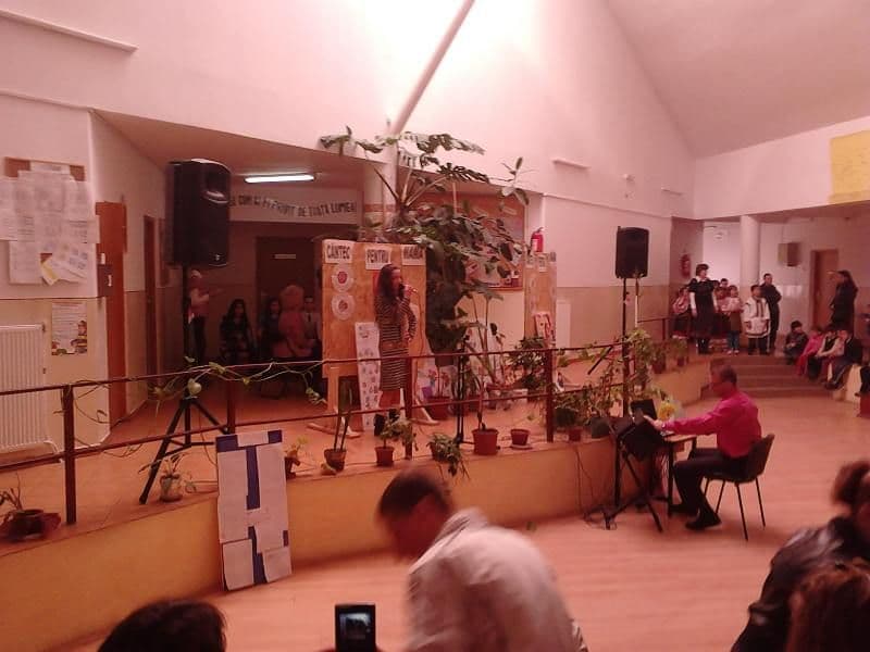 scoala stefan cel mare dorohoi (14)