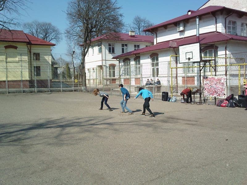 colegiul grigore ghica dorohoi (6)