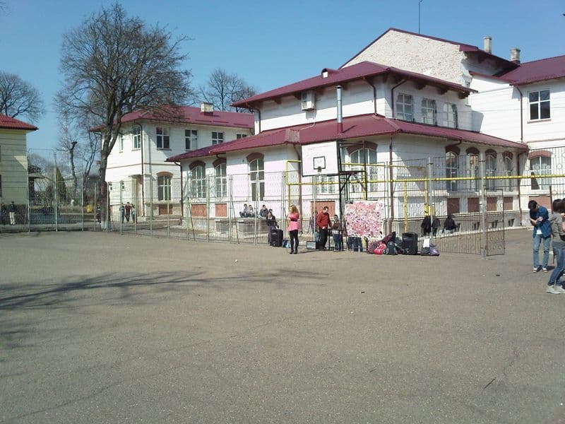 colegiul grigore ghica dorohoi (7)