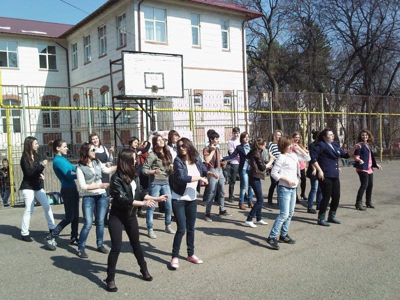 colegiul grigore ghica dorohoi (11)