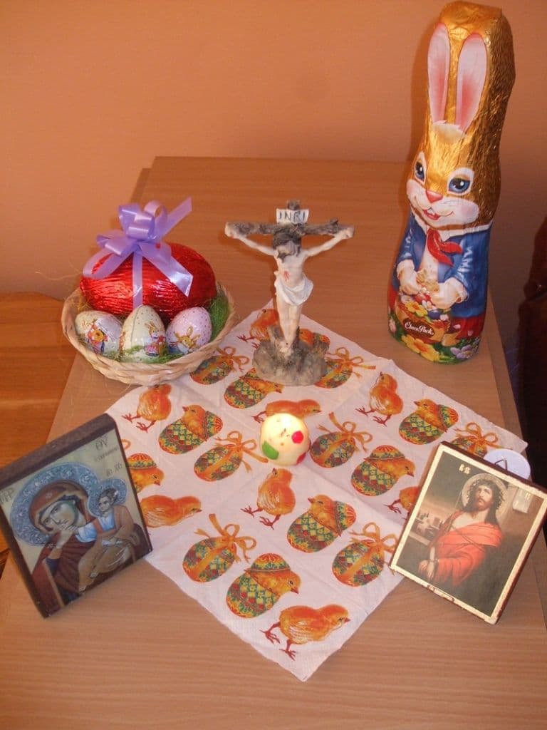 Scoala Altfel - Broscauti_06