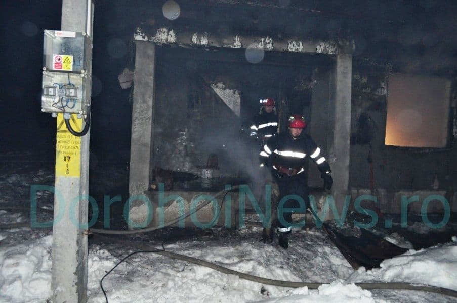 Dorohoi - incendiu Dumbrava Rosiei_04
