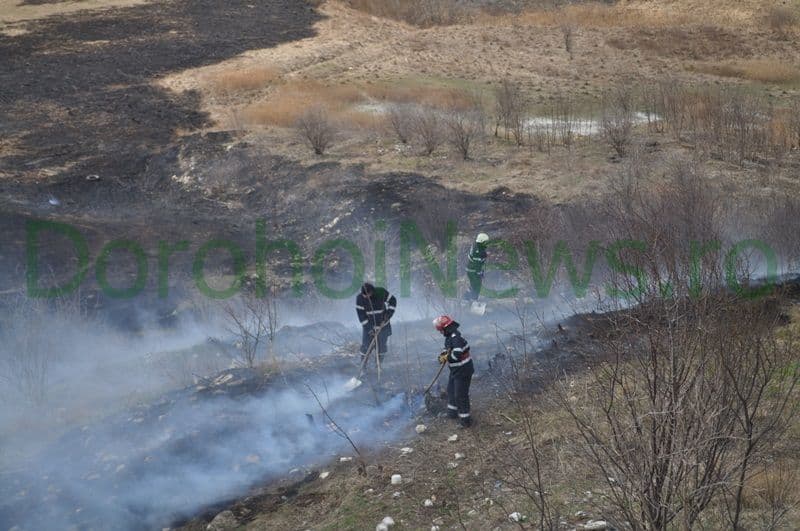 Incendiu vegetatie Dorohoi_02