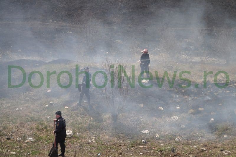 Incendiu vegetatie Dorohoi_03