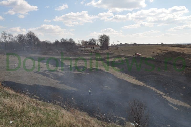Incendiu vegetatie Dorohoi_05