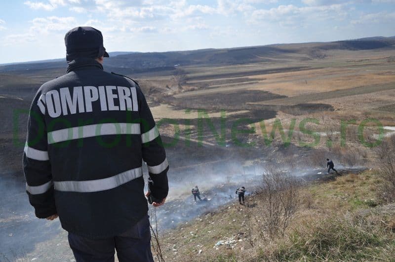 Incendiu vegetatie Dorohoi_08