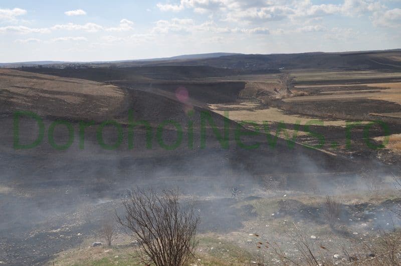 Incendiu vegetatie Dorohoi_06