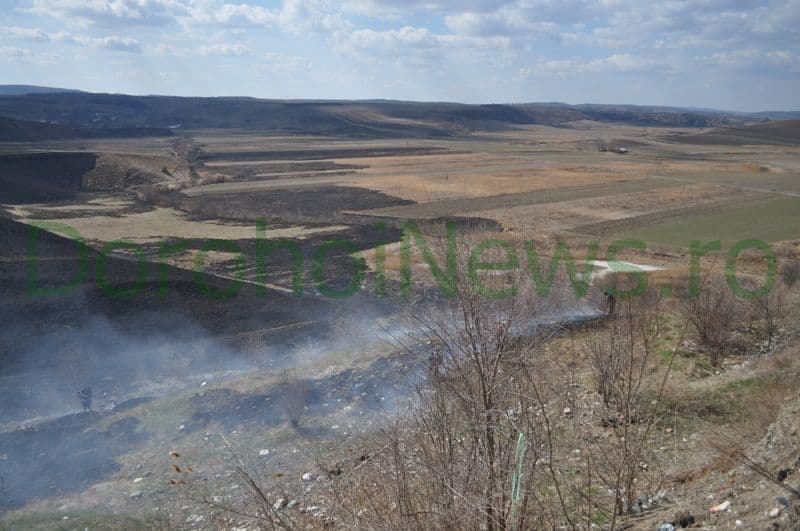 Incendiu vegetatie Dorohoi_07