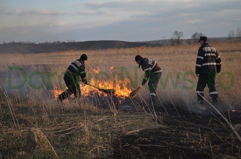 Incendiator_05