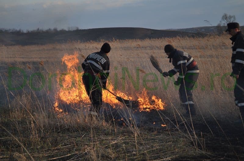 Incendiator_06
