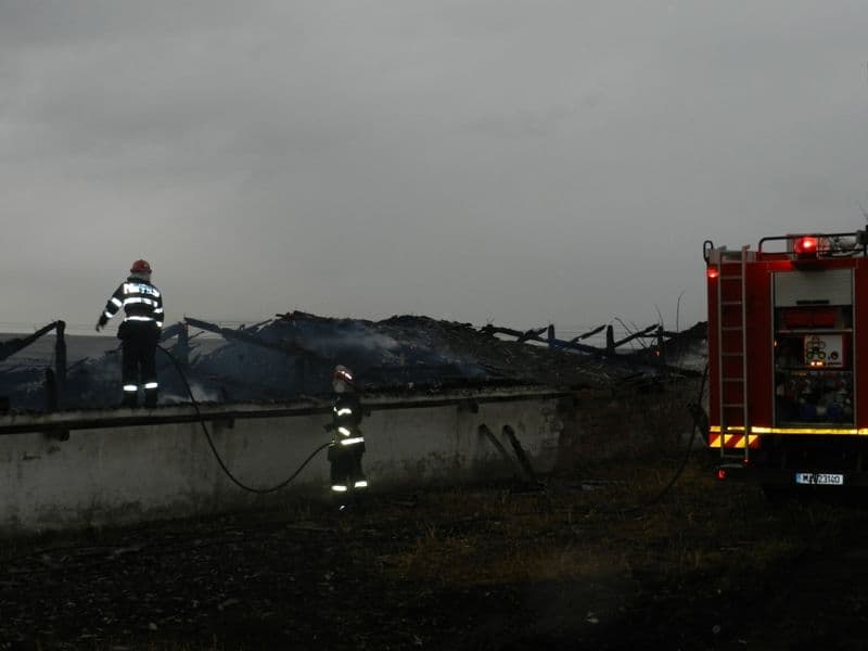 incendiu viisoara (2)