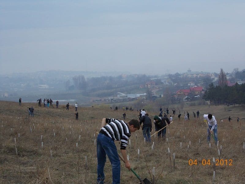 Parteneriat Eco_03