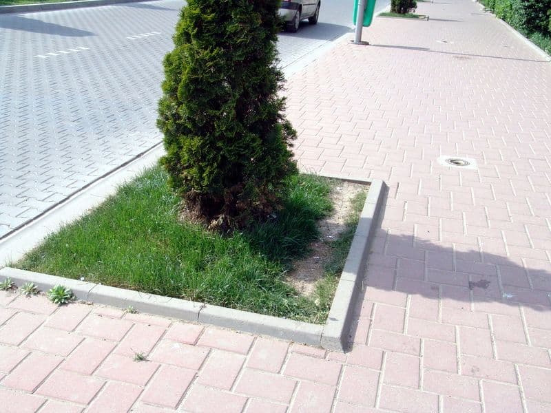 Spatii verzi 2