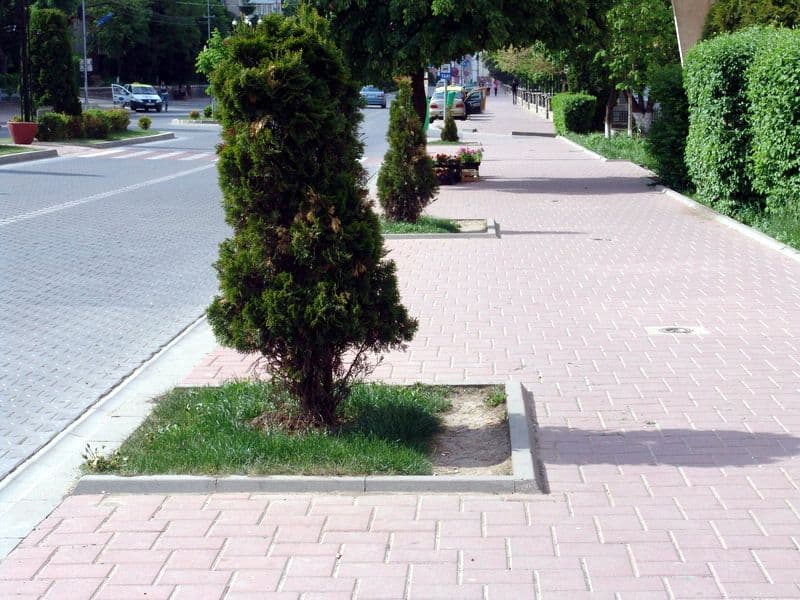 Spatii verzi 5
