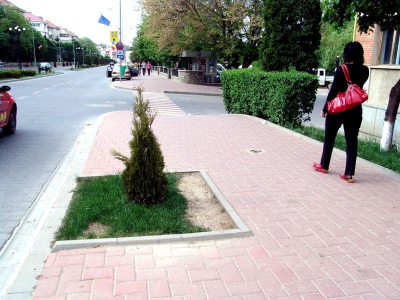 Spatii verzi 8
