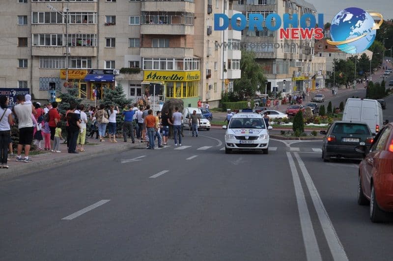 Parada cu elefanti - Circul Gartner - Dorohoi_01