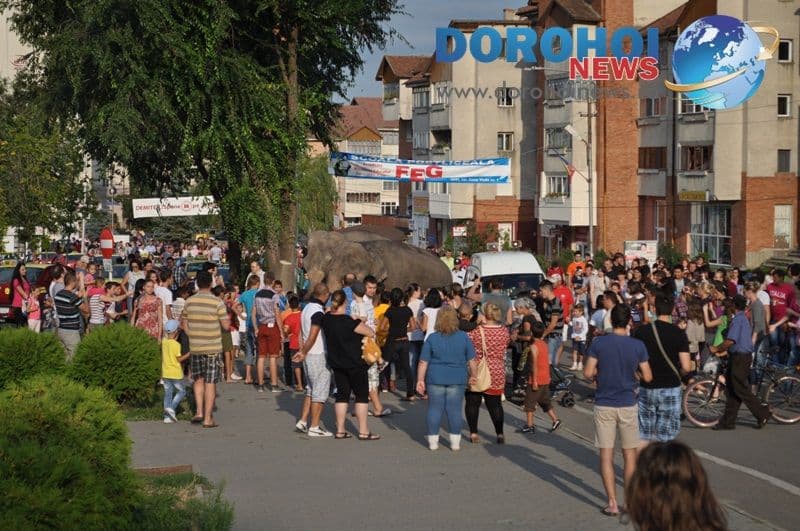 Parada cu elefanti - Circul Gartner - Dorohoi_11