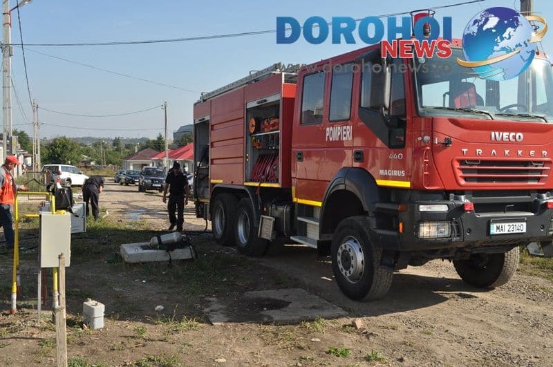 Incendiu Dumbrava Rosie Dorohoi_01