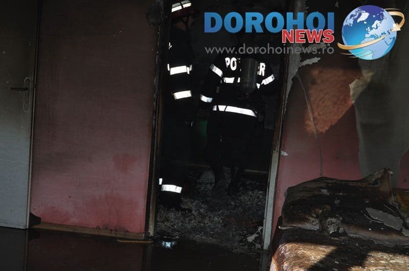 Incendiu Dumbrava Rosie Dorohoi_05