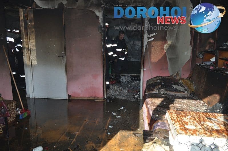 Incendiu Dumbrava Rosie Dorohoi_06