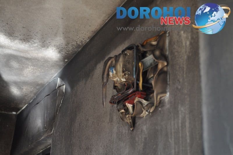 Incendiu Dumbrava Rosie Dorohoi_13