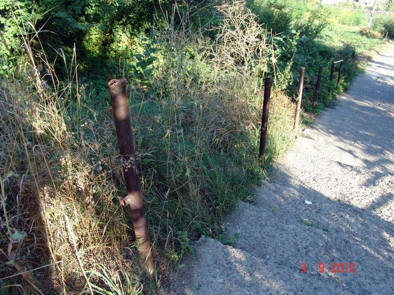 Foto 2