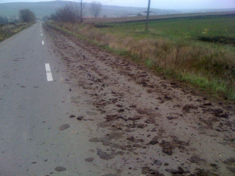 drumuri din Botosani (2)
