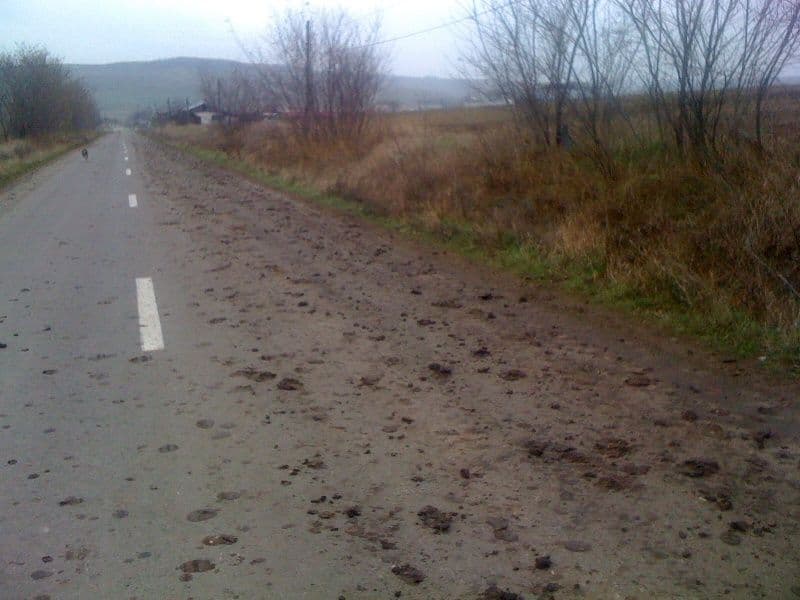 drumuri din Botosani (5)