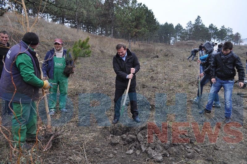 Actiune de plantare copaci_02