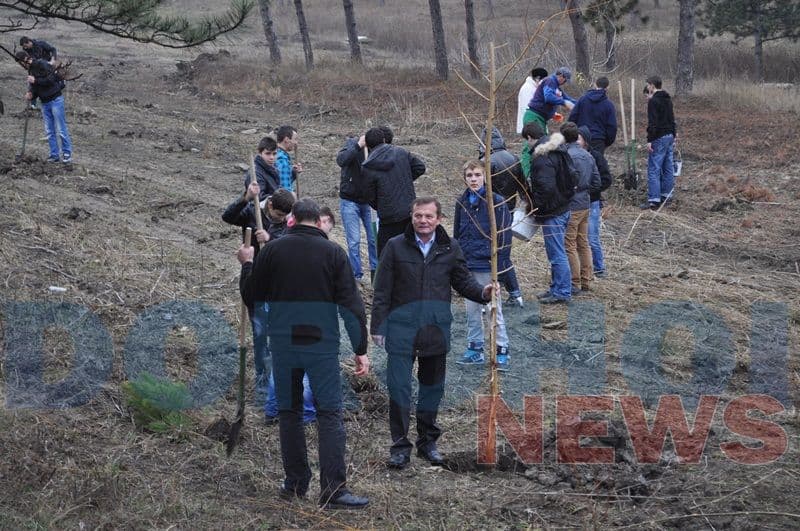 Actiune de plantare copaci_10