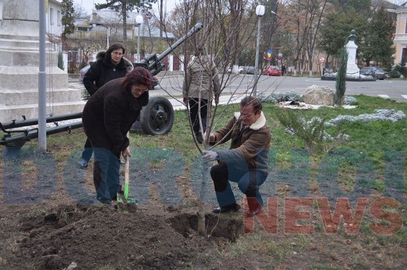 Amplasare tunuri in parcul valter Maracineanul_08
