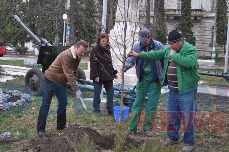 Amplasare tunuri in parcul valter Maracineanul_10