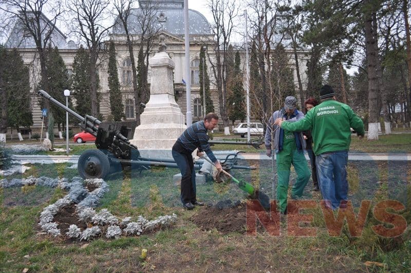 Amplasare tunuri in parcul valter Maracineanul_13