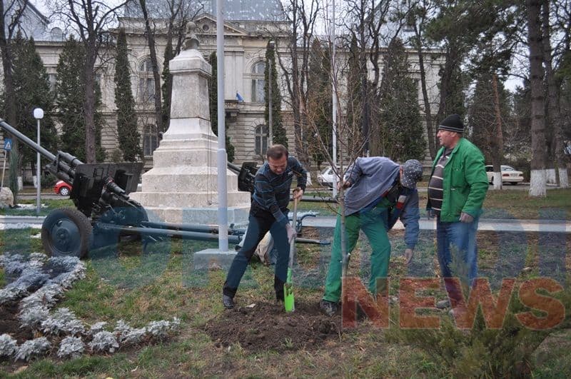 Amplasare tunuri in parcul valter Maracineanul_15