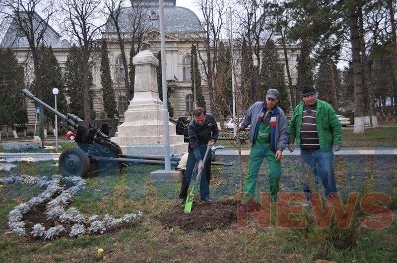Amplasare tunuri in parcul valter Maracineanul_16