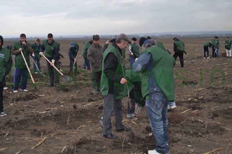 Miscarea pentru Botosani - Actiune plantare_02