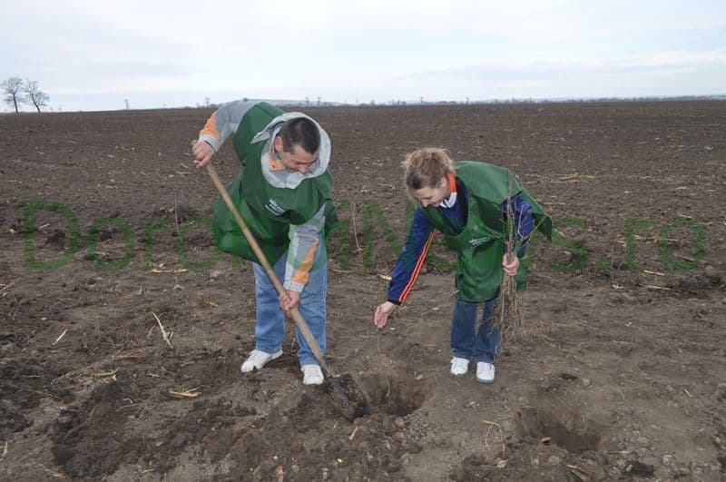 Miscarea pentru Botosani - Actiune plantare_04