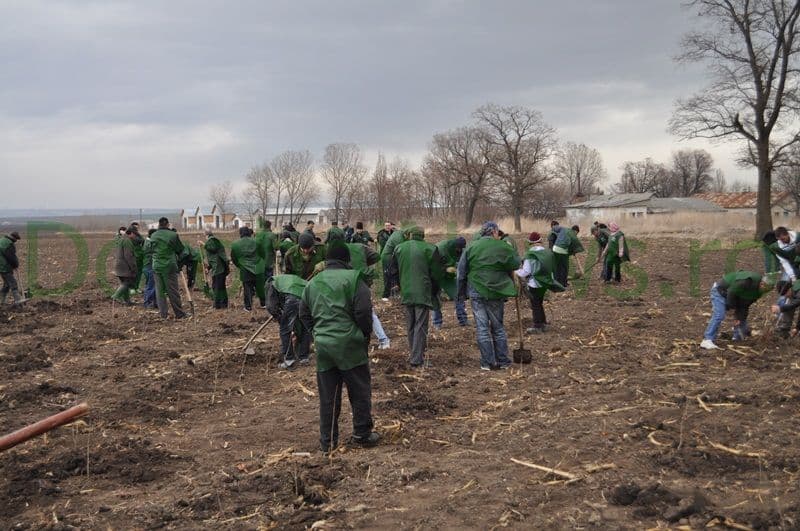 Miscarea pentru Botosani - Actiune plantare_05