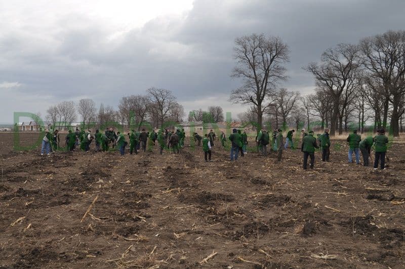 Miscarea pentru Botosani - Actiune plantare_07