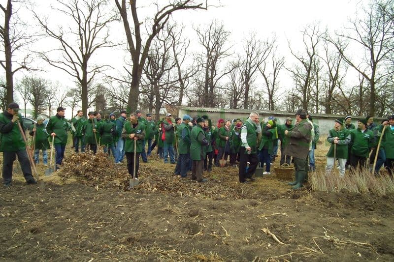 Miscarea pentru Botosani - Actiune plantare_10
