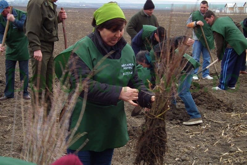 Miscarea pentru Botosani - Actiune plantare_12