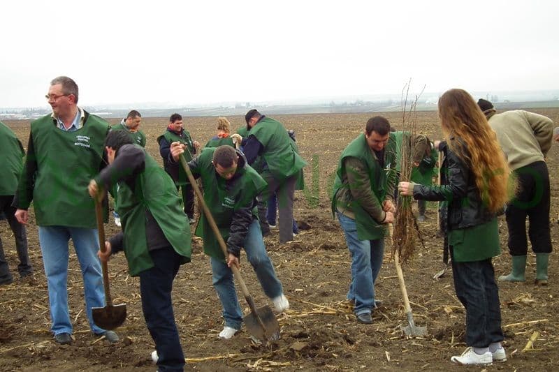 Miscarea pentru Botosani - Actiune plantare_13