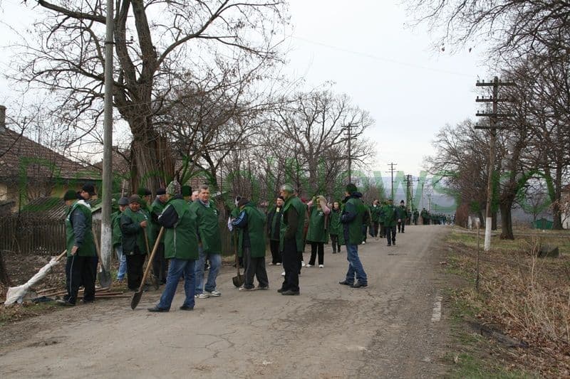 Miscarea pentru Botosani - Actiune plantare_15