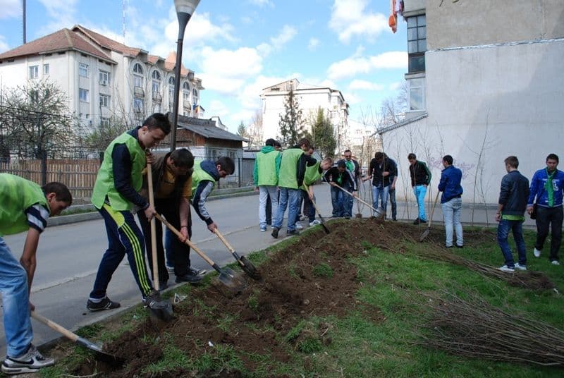 Miscarea pentru Botosani_Ecologizare Bucovina